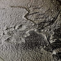 Glacier Vanille Noire photo 3