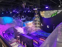 Urban Putt San Jose photo 4