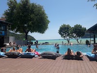 Blanco Beach Bar & Hostel photo 3