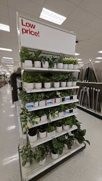 Target photo 2