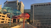 Adobe Founders Tower photo 2