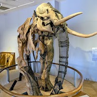 Children's Discovery Museum of San Jose photo 3