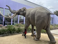 Children's Discovery Museum of San Jose photo 4