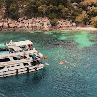 Pommespanzer Revolution photo 5