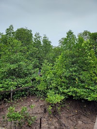 โรงเรียนบ้านร่าปู photo 5