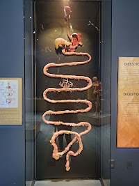 The Tech Interactive photo 4