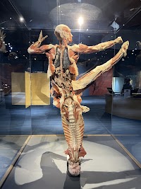 The Tech Interactive photo 3