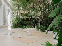 SPA Villa Belle Plage, Cannes photo 5