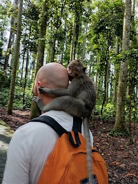 La forêt des singes photo 3