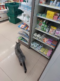 7-Eleven photo 3