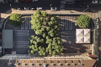 Chevreul Blancarde - Collège/Lycée photo 3
