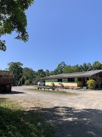 จาริญาการยาง&ปาล์ม-คลองย่าหนัด photo 2