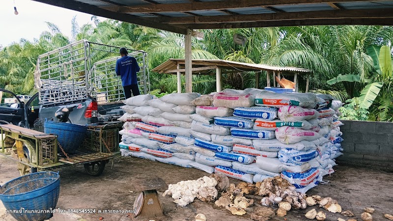 จาริญาการยาง&ปาล์ม-คลองย่าหนัด – main