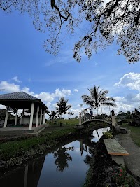 Bayan Ancient Tree photo 3