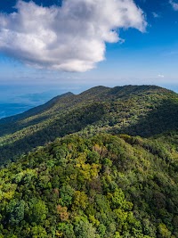 Than Sadet-Ko Pha-Ngan Sok National Park photo 2