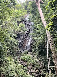 Than Sadet-Ko Pha-Ngan Sok National Park – main