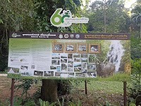 Than Sadet-Ko Pha-Ngan Sok National Park photo 4