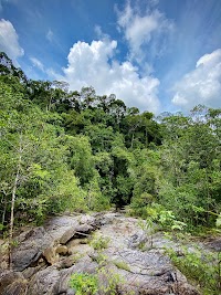Than Sadet-Ko Pha-Ngan Sok National Park photo 3