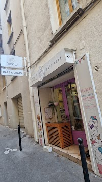 Meow Cats Café - Cats & Coffee (+10 ans uniquement) photo 5