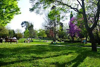 Parc Jourdan – main