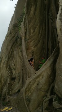 Bali Wellness & Culture by Taman Usada Bali photo 2