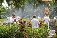 Bali Wellness & Culture by Taman Usada Bali photo 3